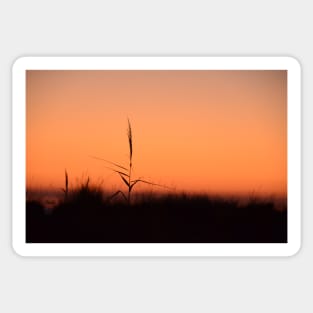 Straw in the sunset / Swiss Artwork Photography Sticker